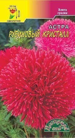 Купить оптом в Ботанике семена Астра Кристалл рубиновый ЦС бренд Цветущий Сад