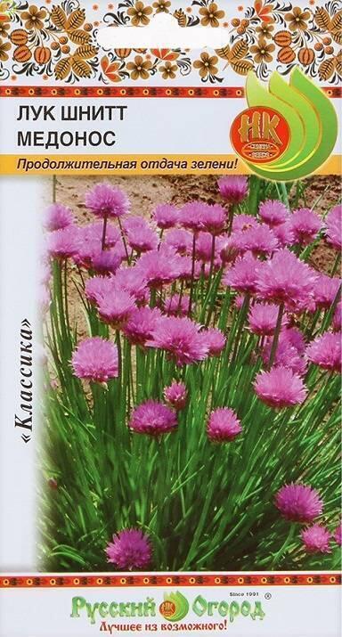 Купить оптом в Ботанике семена Лук шнитт Медонос НК бренд НК