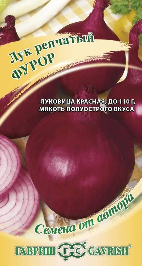 Купить оптом в Ботанике семена Лук репчатый Фурор Гав бренд Гавриш