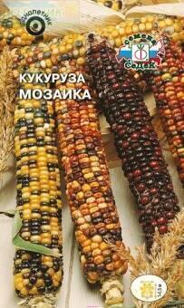 Купить оптом в Ботанике семена Кукуруза декоративная Мозаика Сед бренд СеДеК