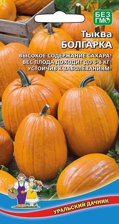 Купить оптом в Ботанике семена Тыква Болгарка УД бренд Уральский дачник