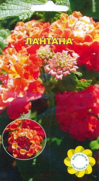 Купить оптом в Ботанике семена Лантана УУ бренд Урожай Удачи