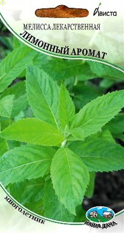 Купить оптом в Ботанике семена Мелисса Лимонный аромат Ав бренд Ависта
