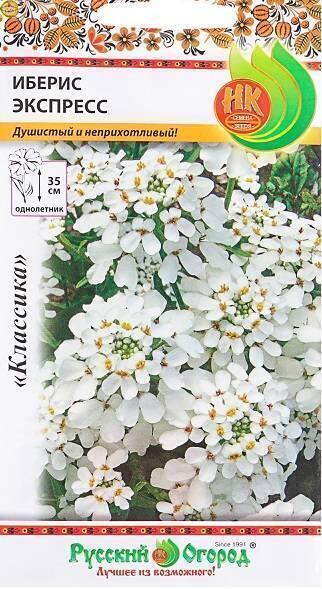 Купить оптом в Ботанике семена Иберис Экспресс НК бренд НК
