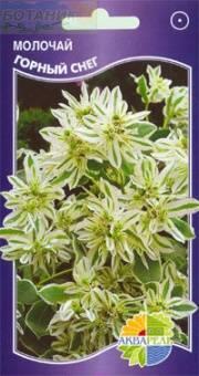 Купить оптом в Ботанике семена Молочай Горный снег Акв бренд Акварель
