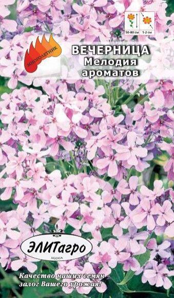 Купить оптом в Ботанике семена Вечерница Мелодия ароматов Аэл бренд Аэлита