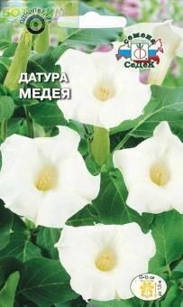 Купить оптом в Ботанике семена Датура (Дурман) Медея Сед бренд СеДеК