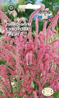 Купить оптом в Ботанике семена Лимониум Суворова Грейг Сед бренд СеДеК