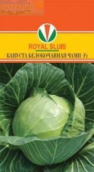 Купить оптом в Ботанике семена Капуста белокочанная Чамп F1 Акв бренд Акварель