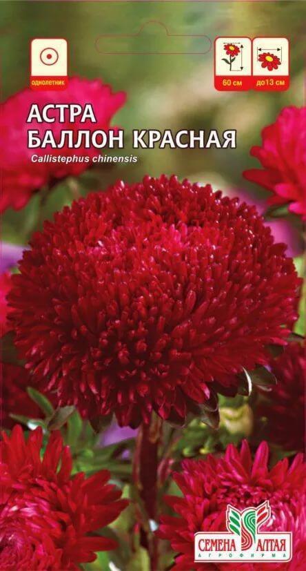 Купить оптом в Ботанике семена Астра Баллон красная СА бренд Семена Алтая