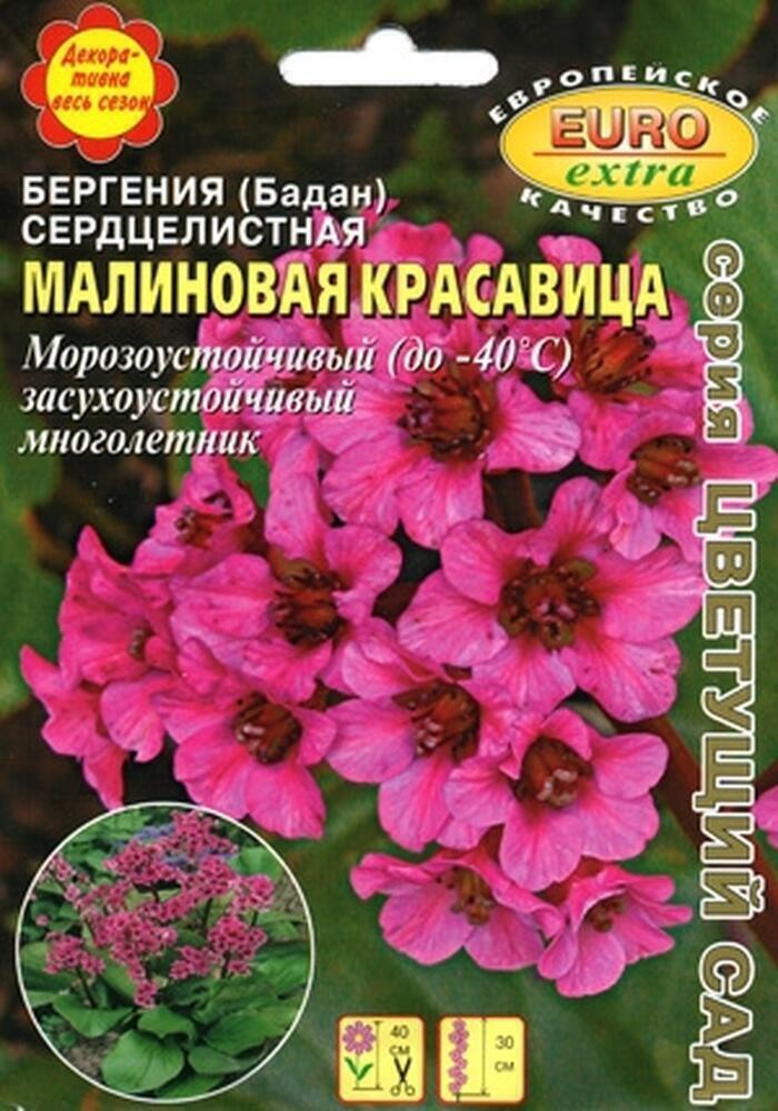 Купить оптом в Ботанике семена Бергения Малиновая красавица (бадан) Аэл бренд Аэлита