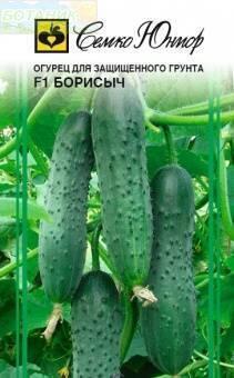 Купить оптом в Ботанике семена Огурец Борисыч F1 Сем бренд Семко