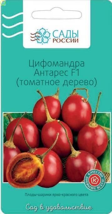 Купить оптом в Ботанике семена Цифомандра Антарес СиО бренд Сад и огород