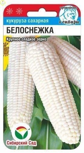 Купить оптом в Ботанике семена Кукуруза Белоснежка СС бренд Сиб.сад