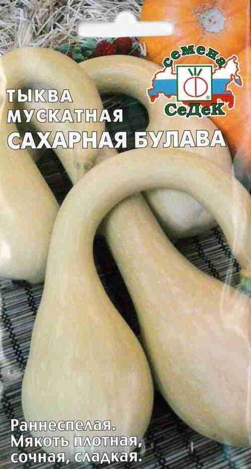 Купить оптом в Ботанике семена Тыква Сахарная булава Сед бренд СеДеК