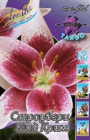 Купить оптом в Ботанике Лилия Спарго 5 шт