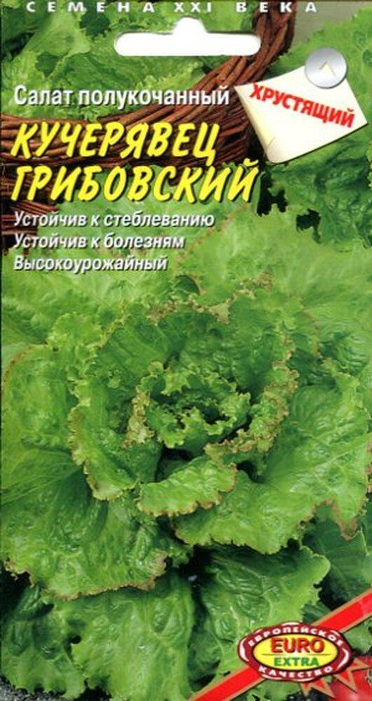 Купить оптом в Ботанике семена Салат Грибовский кучерявец кочанный Аэл бренд Аэлита