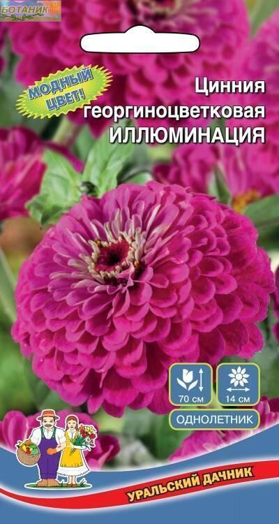 Купить оптом в Ботанике семена Цинния Иллюминация УД бренд Уральский дачник