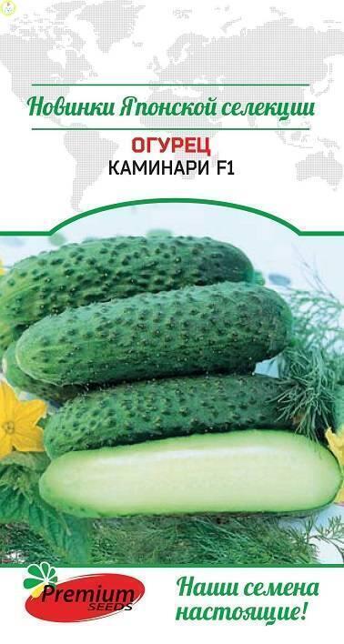 Купить оптом в Ботанике семена Огурец Каминари F1 ПС бренд Премиум Сидс