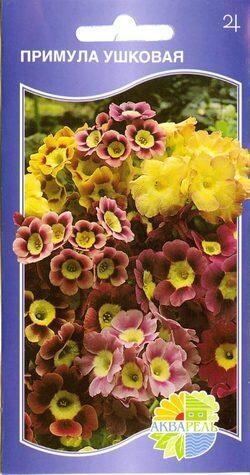 Купить оптом в Ботанике семена Примула Ушковая смесь Акв бренд Акварель