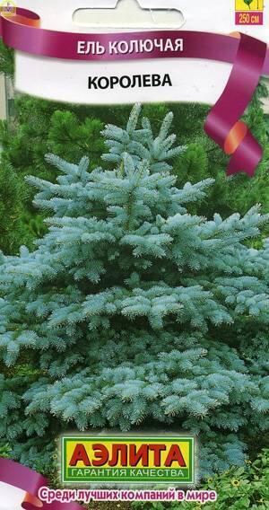 Купить оптом в Ботанике семена Ель Королева колючая Аэл бренд Аэлита