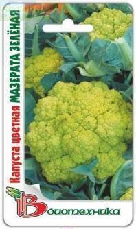 Купить оптом в Ботанике семена Капуста цветная Мазерата Зеленая Био бренд Биотехника
