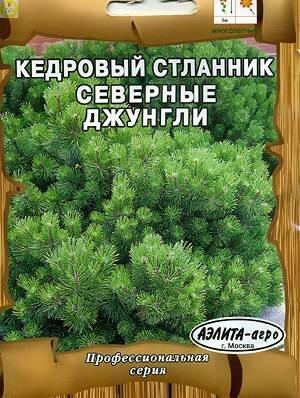 Купить оптом в Ботанике семена Кедровый стланник Северные джунгли Аэл бренд Аэлита