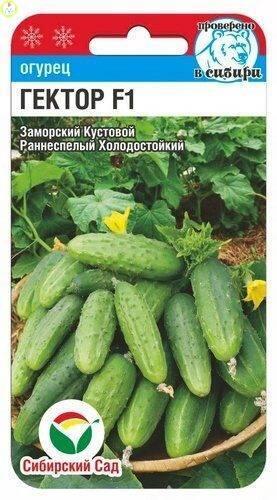Купить оптом в Ботанике семена Огурец Гектор F1 СС бренд Сиб.сад