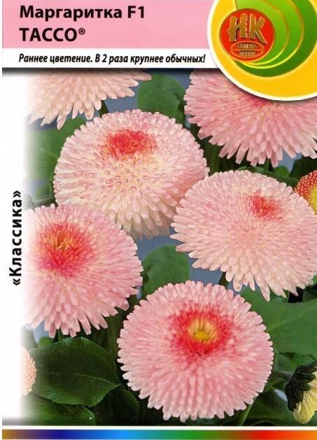 Купить оптом в Ботанике семена Маргаритка Тассо F1 НК бренд НК