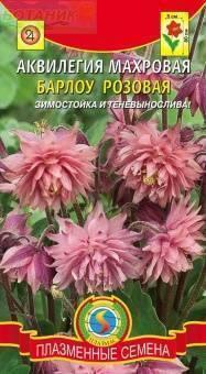 Купить оптом в Ботанике семена Аквилегия Барлоу розовая махровая Плз бренд Плазмас