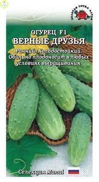 Купить оптом в Ботанике семена Огурец Верные друзья F1 ЗС бренд Золотая сотка