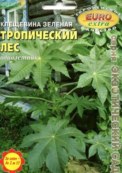 Купить оптом в Ботанике семена Клещевина Тропический лес зеленая Аэл бренд Аэлита