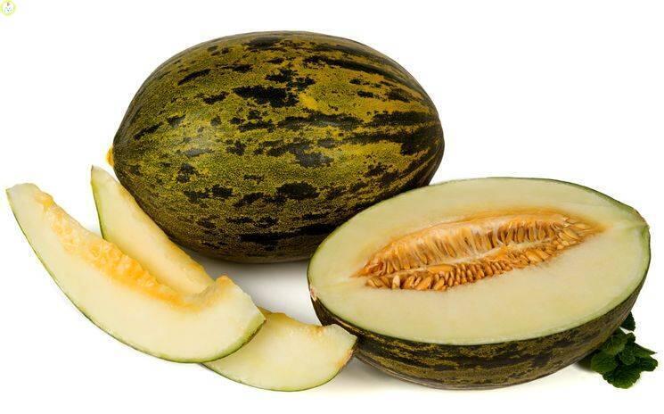 Купить оптом в Ботанике семена Дыня Оригинальная УД бренд Уральский дачник, Марс