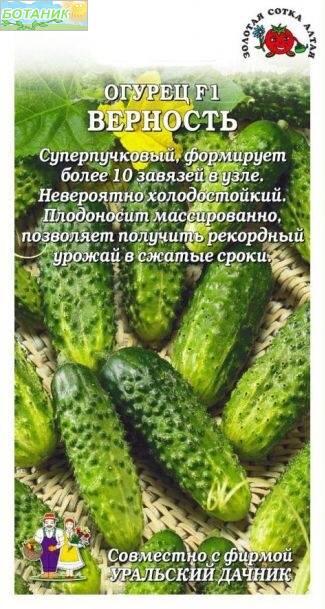 Купить оптом в Ботанике семена Огурец Верность F1 ЗС бренд Золотая сотка