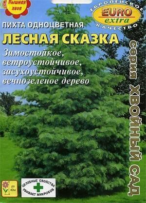 Купить оптом в Ботанике семена Пихта Лесная сказка одноцветная Аэл бренд Аэлита