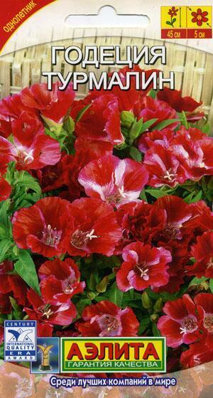Купить оптом в Ботанике семена Годеция Турмалин Аэл бренд Аэлита