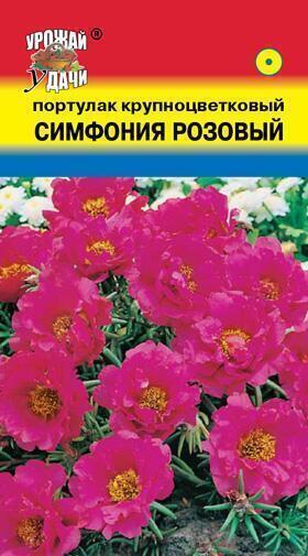 Купить оптом в Ботанике семена Портулак Симфония розовый УУ бренд Урожай Удачи