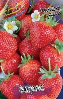 Купить оптом в Ботанике Земляника садовая Флоренс 5 шт