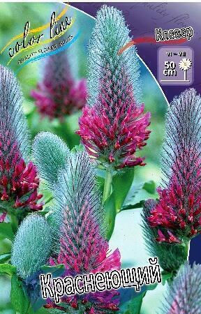 Купить оптом в Ботанике Клевер Краснеющий 2 шт