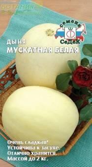 Купить оптом в Ботанике семена Дыня Мускатная белая Сед бренд СеДеК