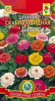 Купить оптом в Ботанике семена Цинния Скабиозовидная смесь Плз бренд Плазмас