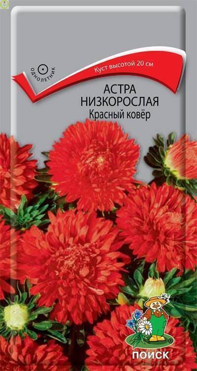 Купить оптом в Ботанике семена Астра Красный ковёр Поиск бренд Поиск