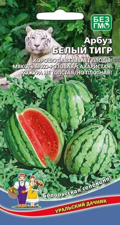 Купить оптом в Ботанике семена Арбуз Белый тигр УД бренд Уральский дачник