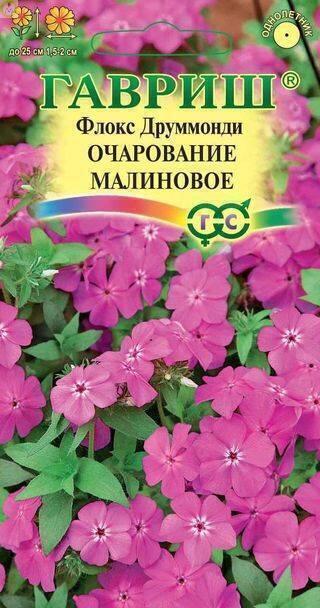 Купить оптом в Ботанике семена Флокс Очарование малиновое друммонда Гав бренд Гавриш