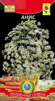 Купить оптом в Ботанике семена Анис Блюз Плз бренд Плазмас
