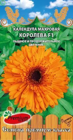 Купить оптом в Ботанике семена Календула Королева махровая ПС бренд Премиум Сидс