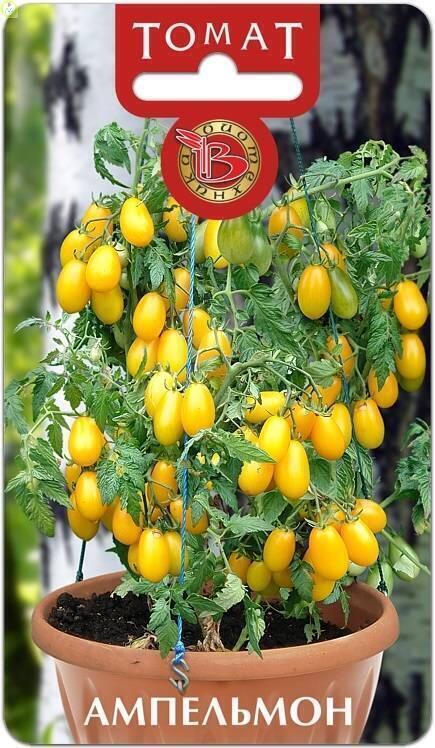 Купить оптом в Ботанике семена Томат Ампельмон Био бренд Биотехника