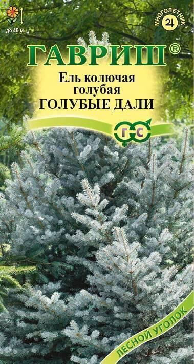 Купить оптом в Ботанике семена Ель Голубые дали голубая Гав бренд Гавриш