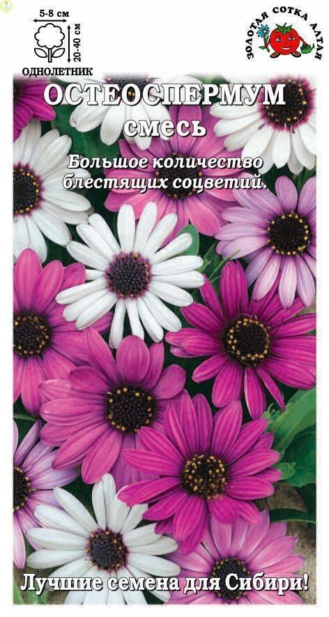 Купить оптом в Ботанике семена Остеоспермум смесь ЗС бренд Золотая сотка