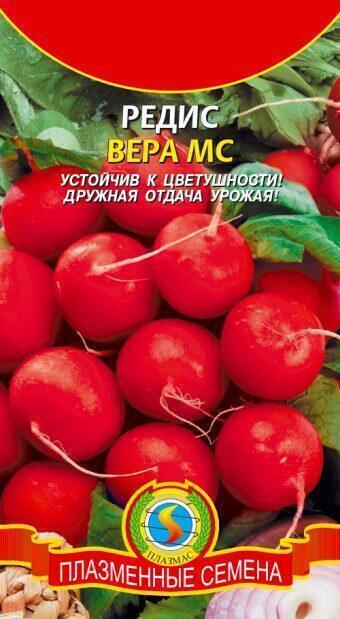 Купить оптом в Ботанике семена Редис Вера МС Плз бренд Плазмас